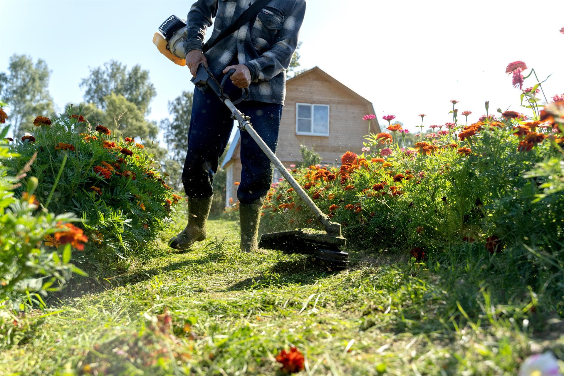 ¿Necesitas limpiar una finca? Os Gnomos se encarga