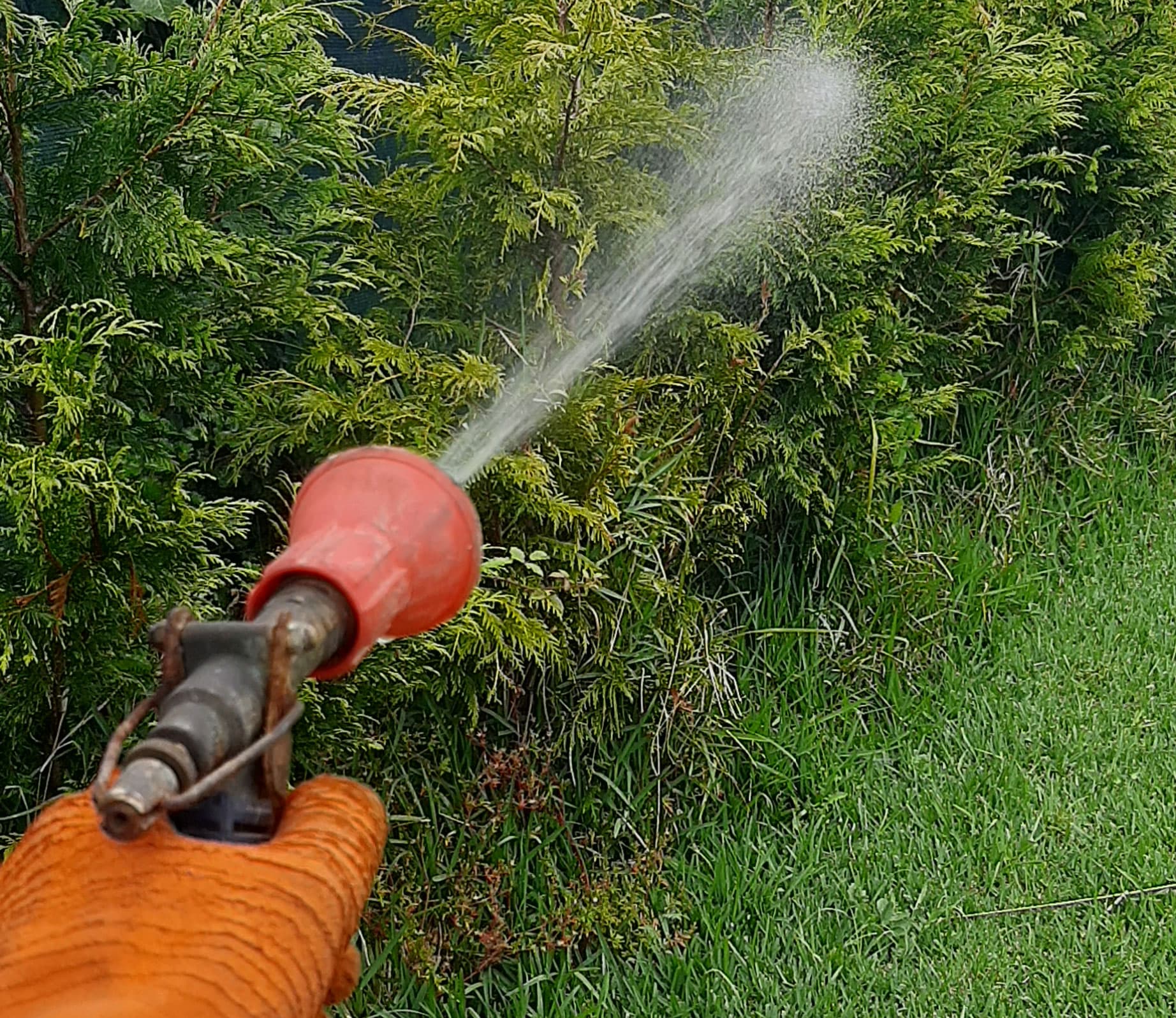 ¡Nos adaptamos a cualquier terreno! Hacemos desbroces en A Coruña y Pontevedra